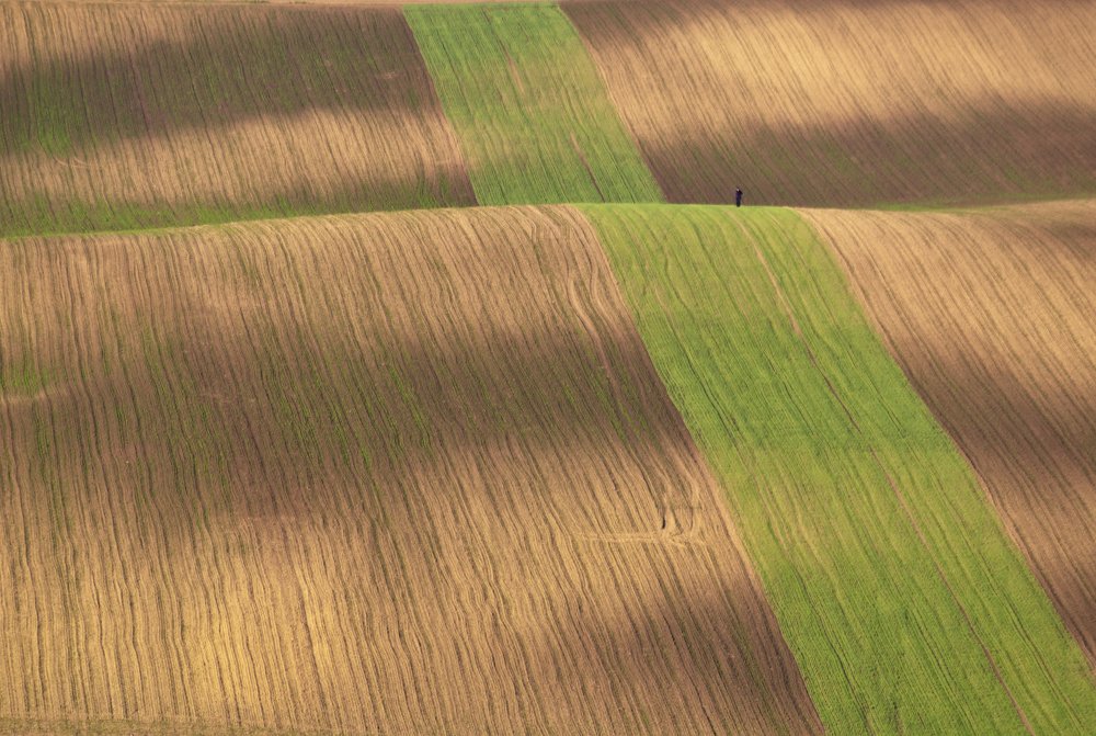 Фотография автора Марина Савчиц