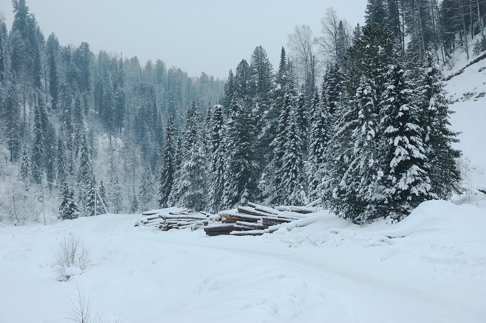 Photograph by Ирина Секачева