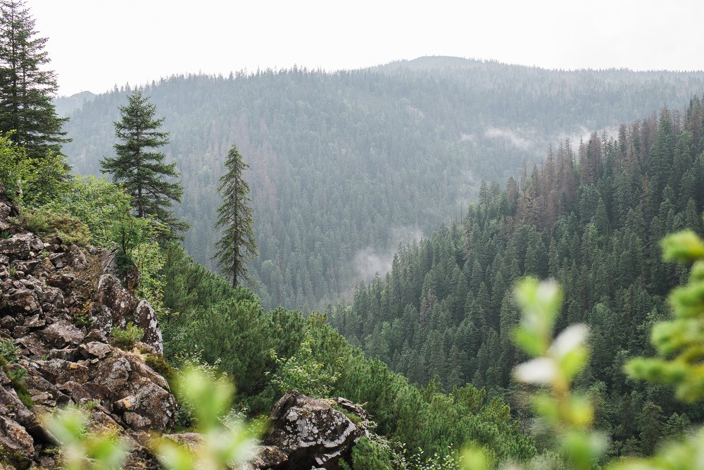 Photograph by Вячеслав Фильчагин