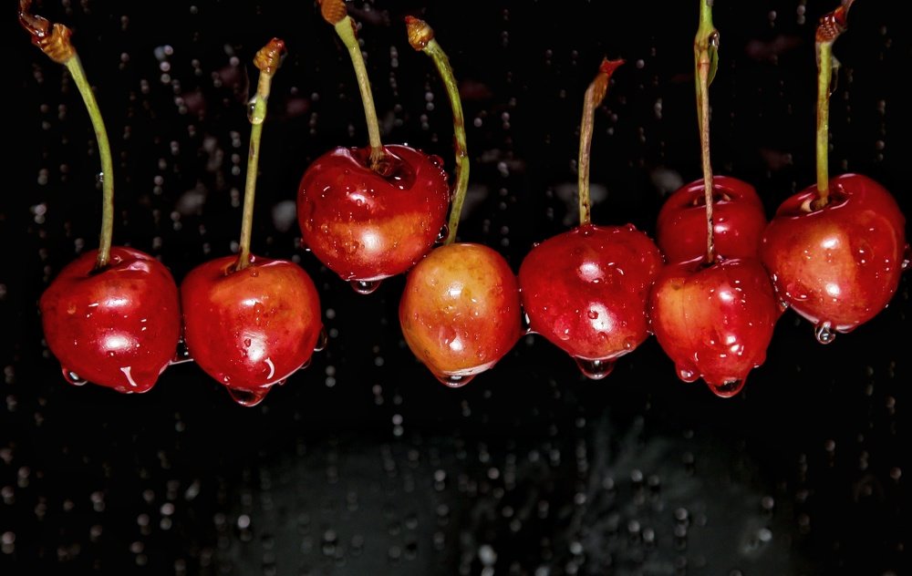 Photograph by Sax Palumbo