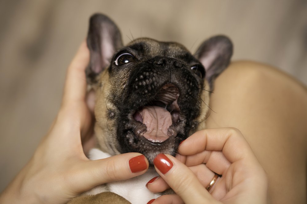 Photograph by Кадырова Марина