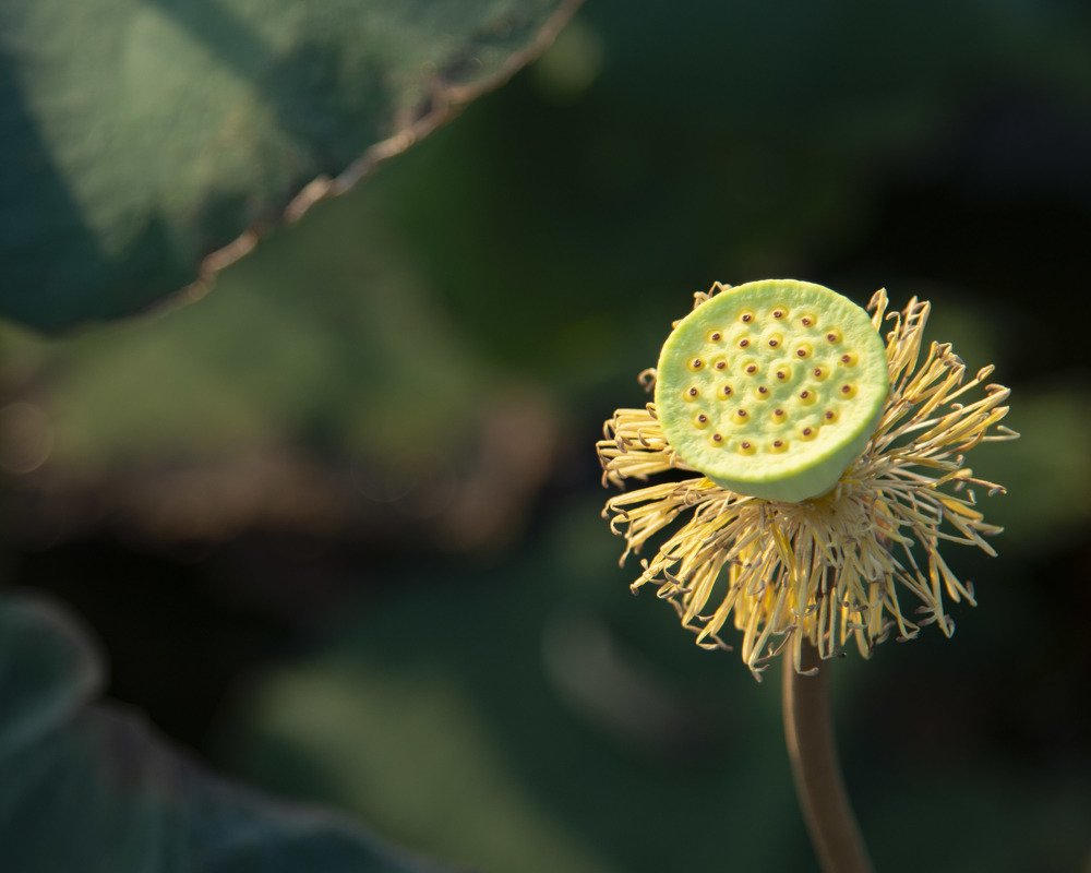 Photograph by Weng Soon Yong