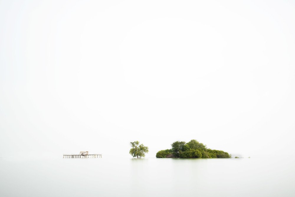 A shack, a tree and an island