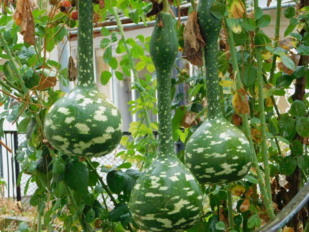 Photograph by Елена Грошева