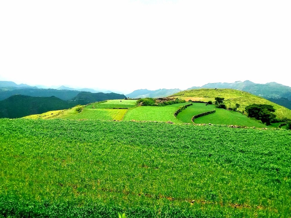 Photograph by BASSAM ALI ALBAADANI