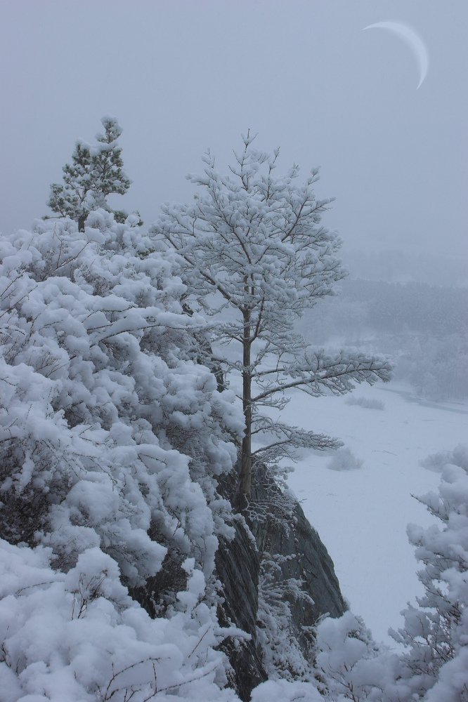 Photo #3686093