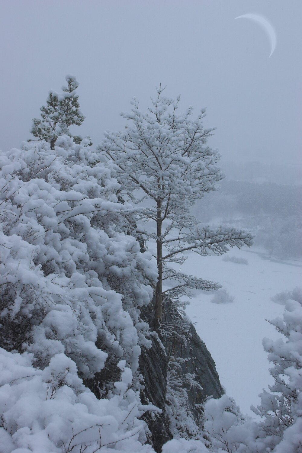 Photo #3686093