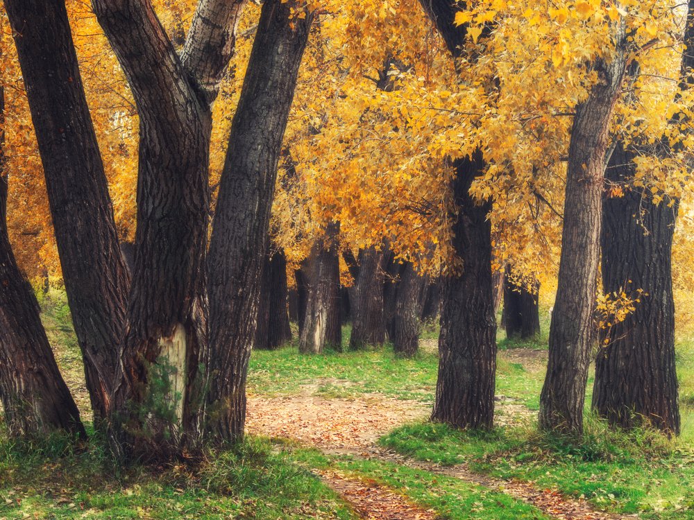 Photograph by Вячеслав Баширов