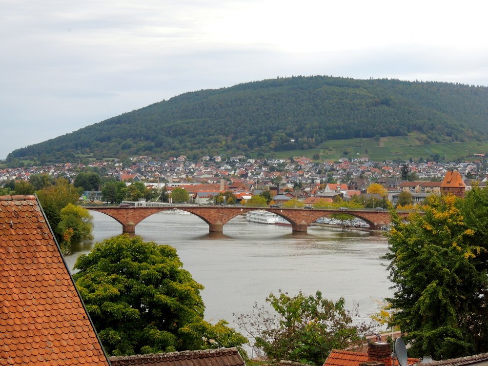 Мильтенберг. Майнский мост.