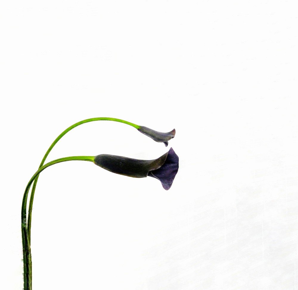 Photograph by Анна Матецкая