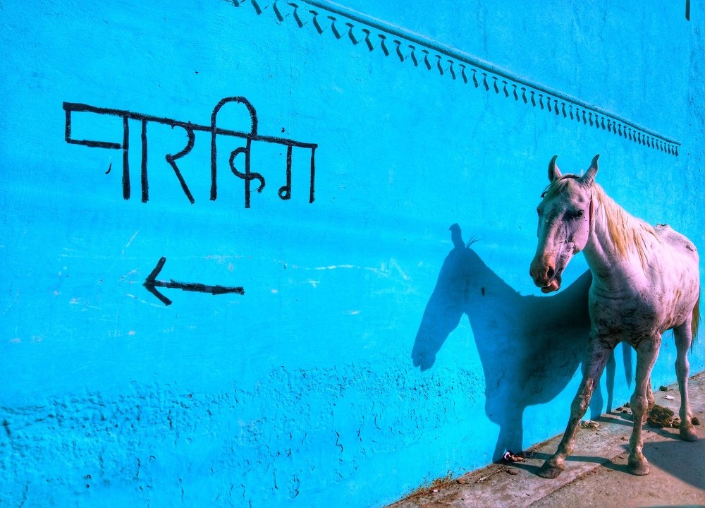 Photograph by Vijay Raj