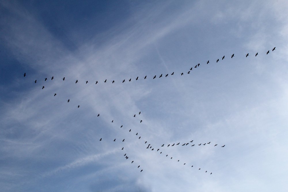 Photograph by krunal mistry