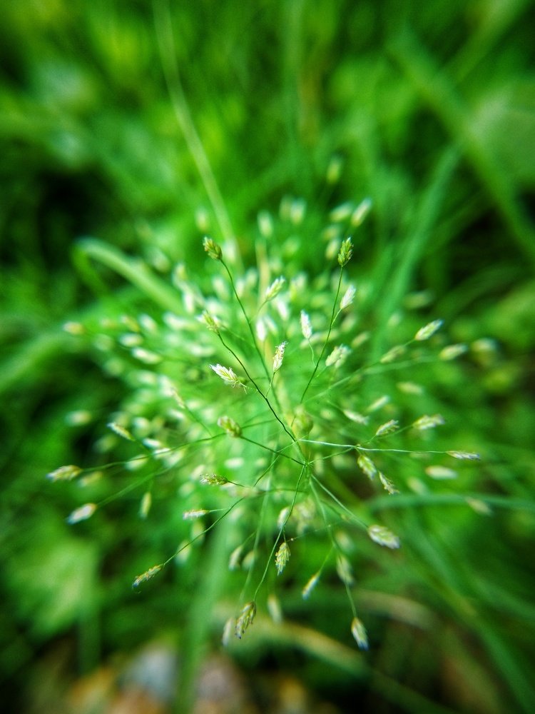 Photograph by Vijay Raj