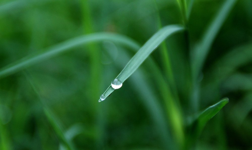 Photograph by krunal mistry