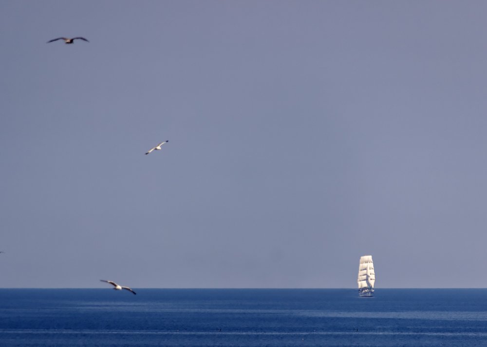 Белеет парус...