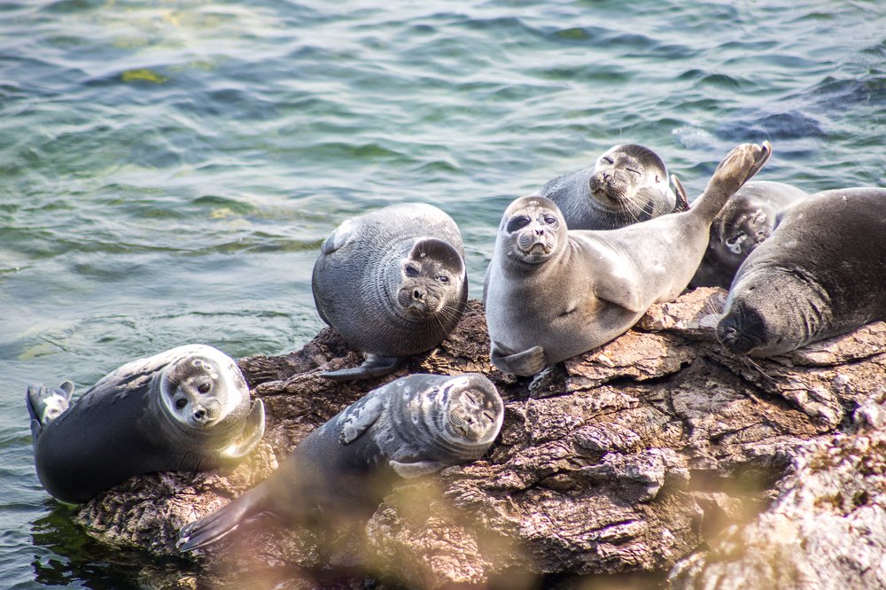 Семейный портрет