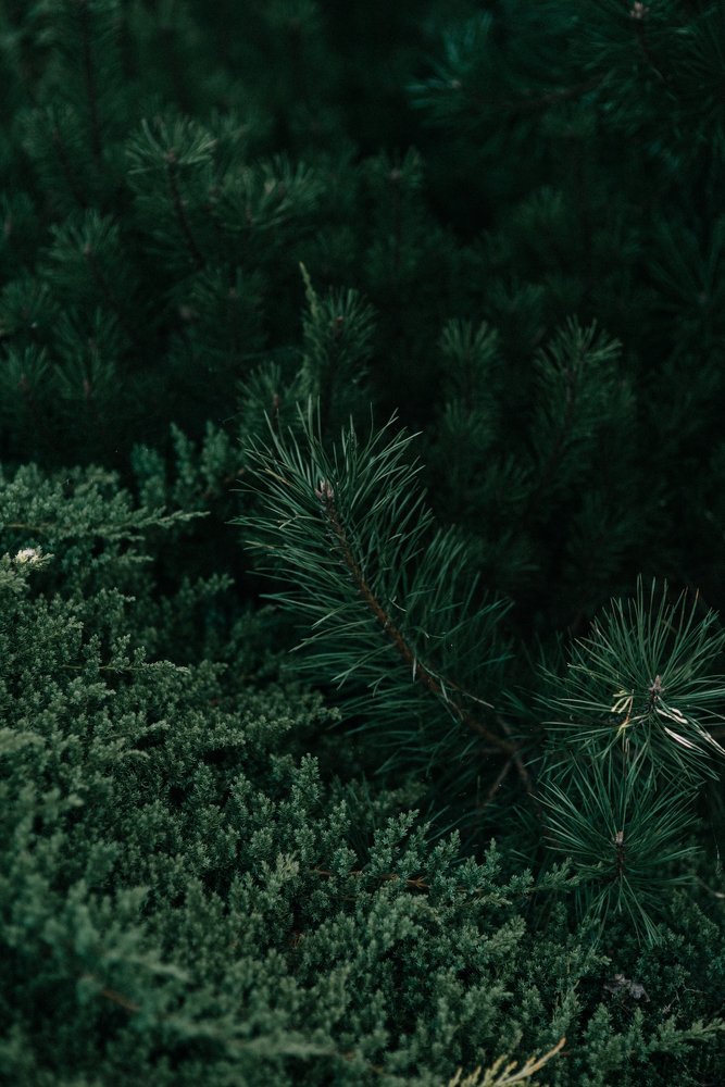 Photograph by  Agnieszka Cabaj