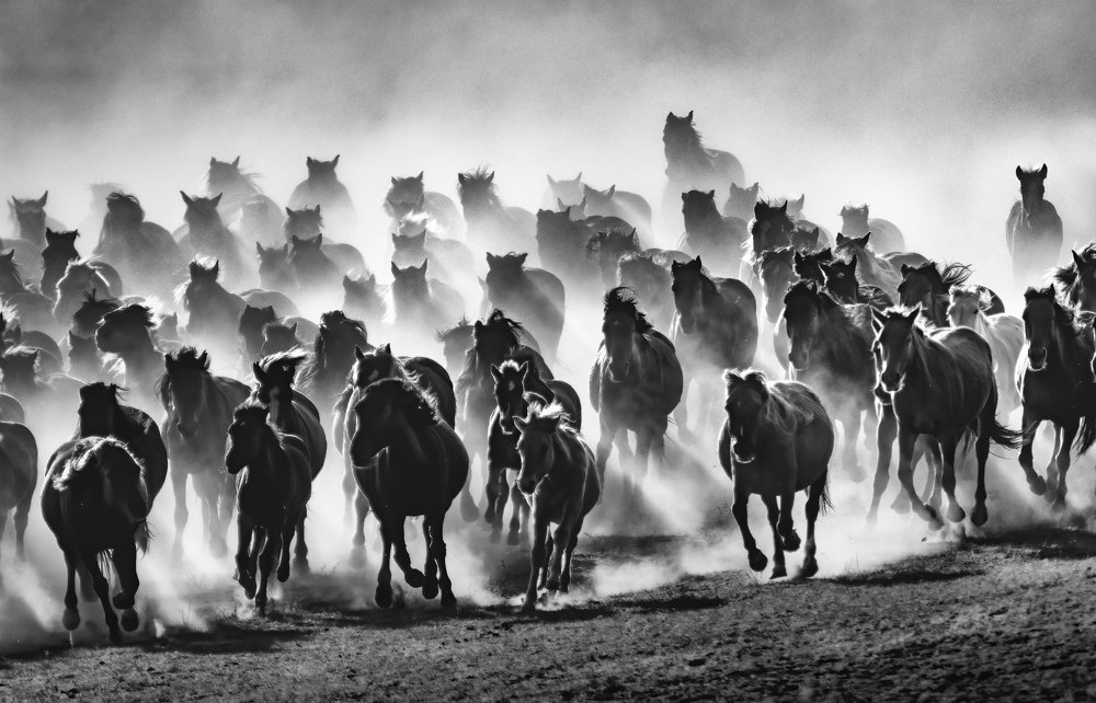 Photograph by Kok Tien Sang