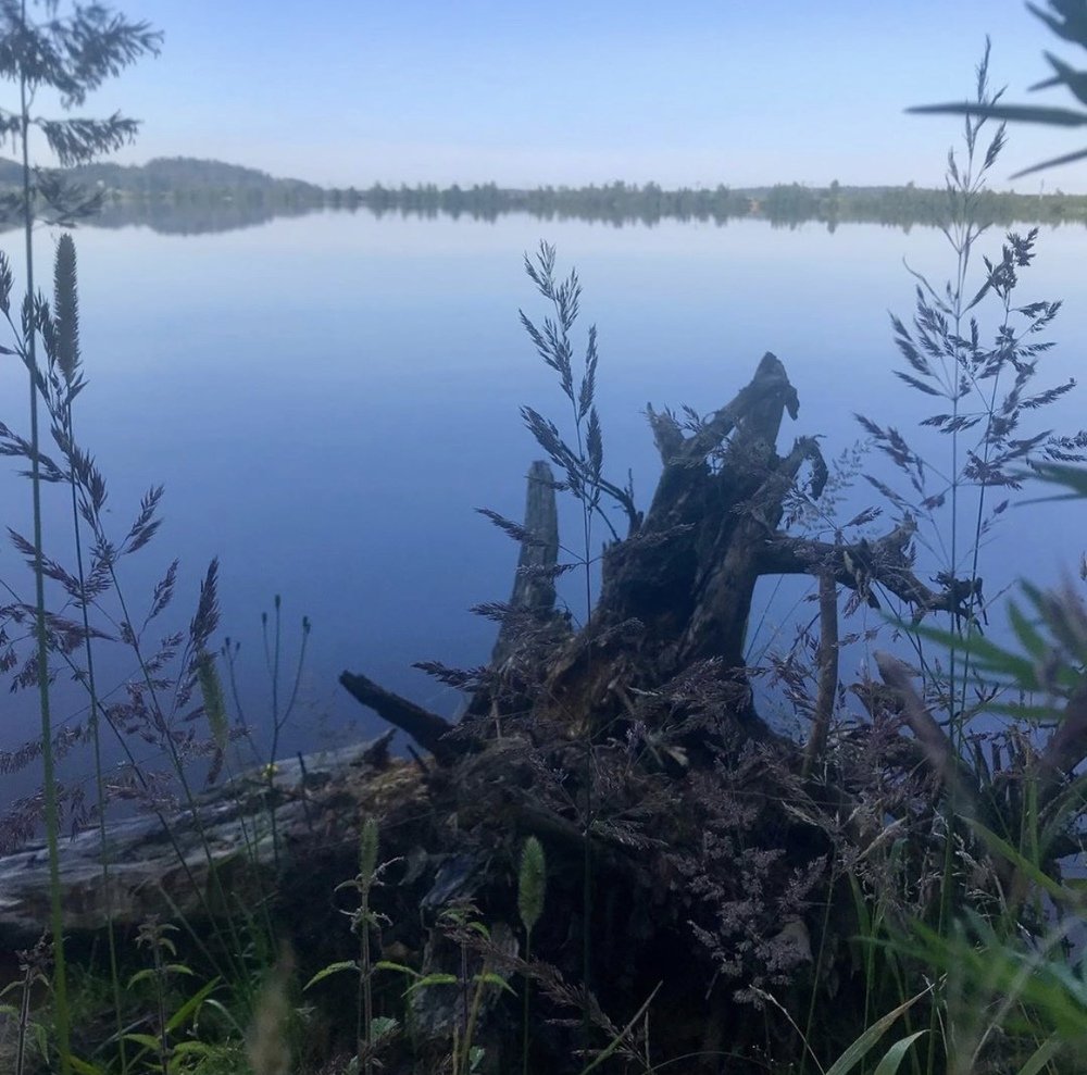 Photograph by Елена