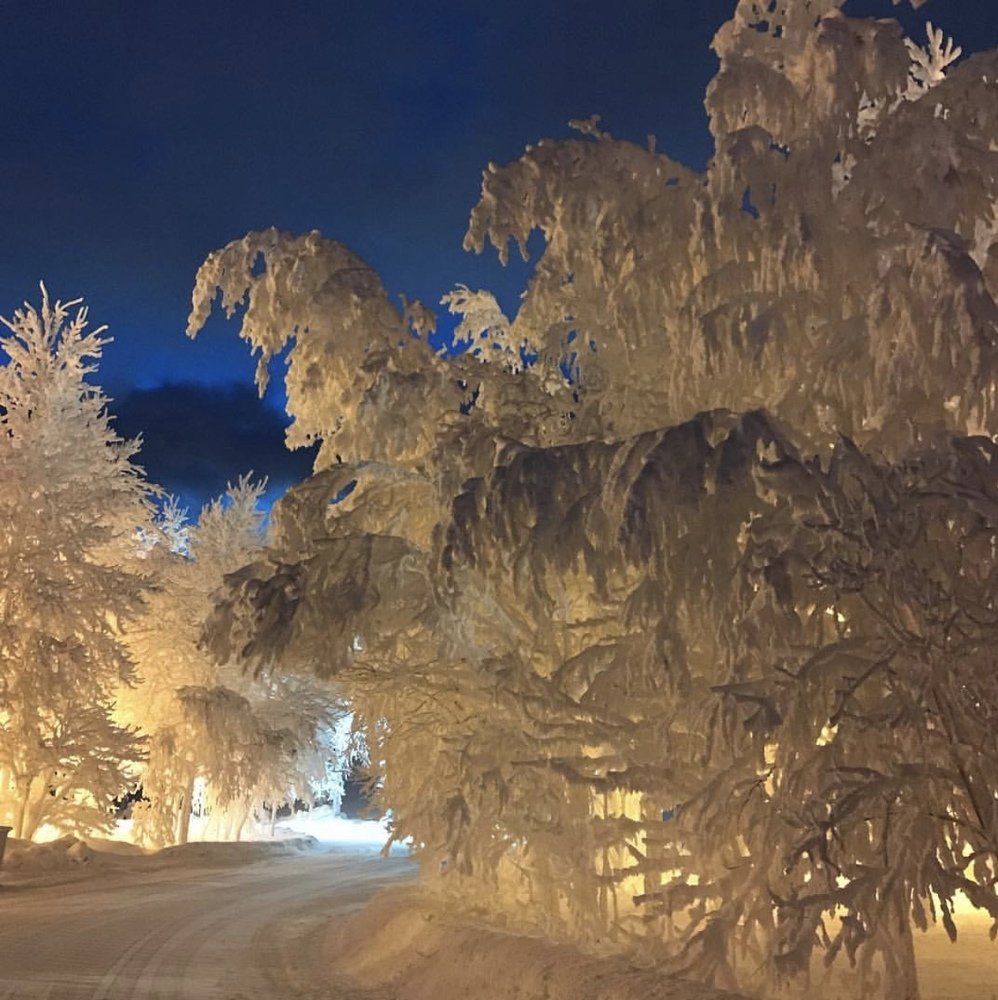 Photograph by Елена