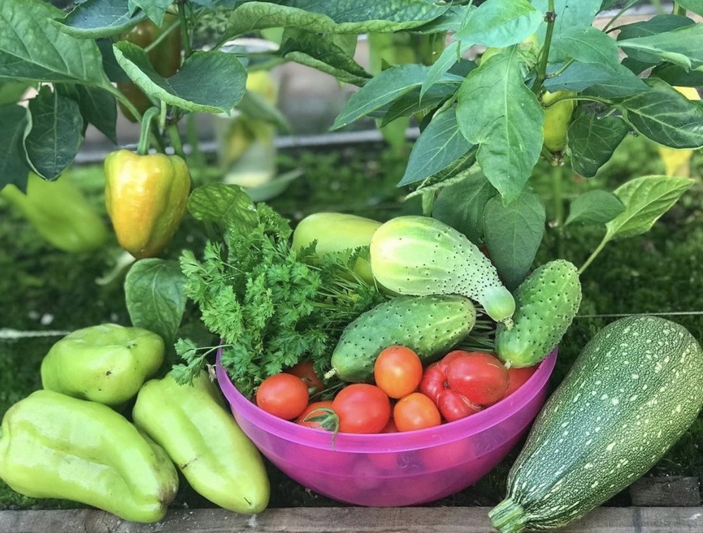 Photograph by Елена