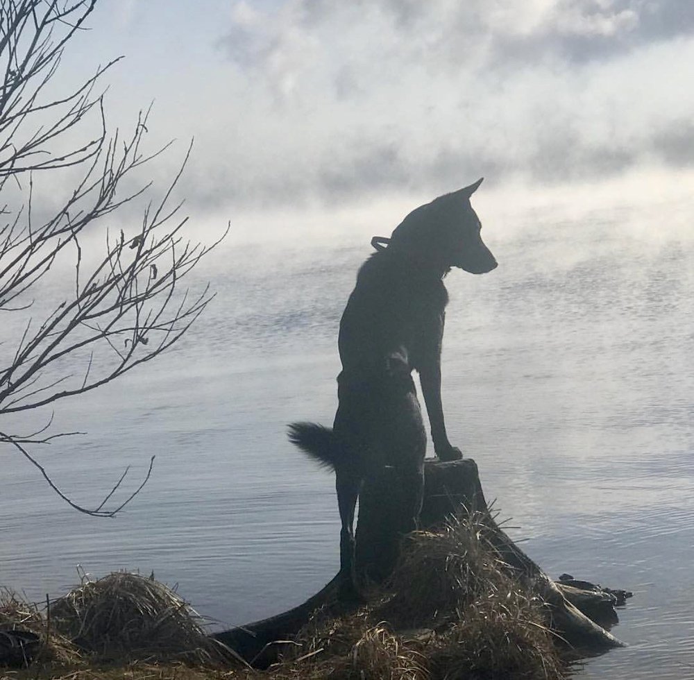 Photograph by Елена