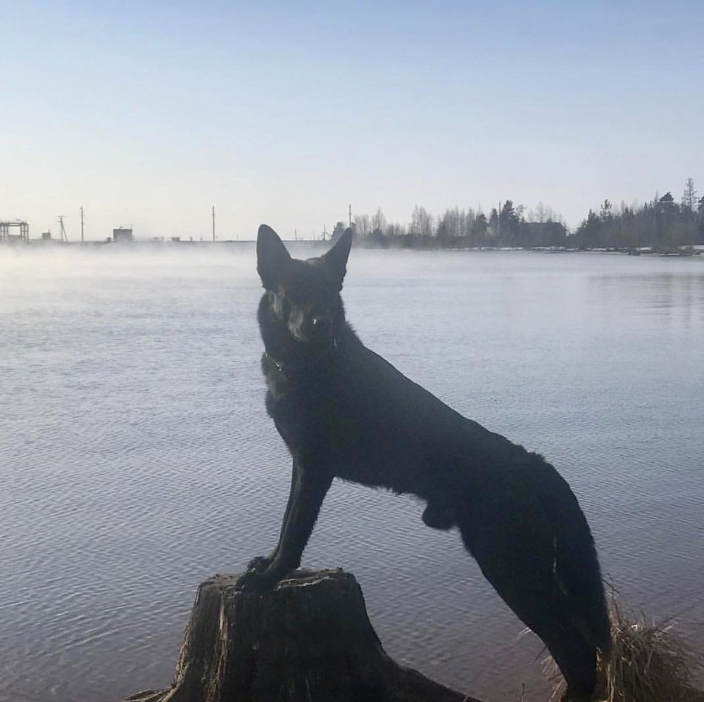 Photograph by Елена