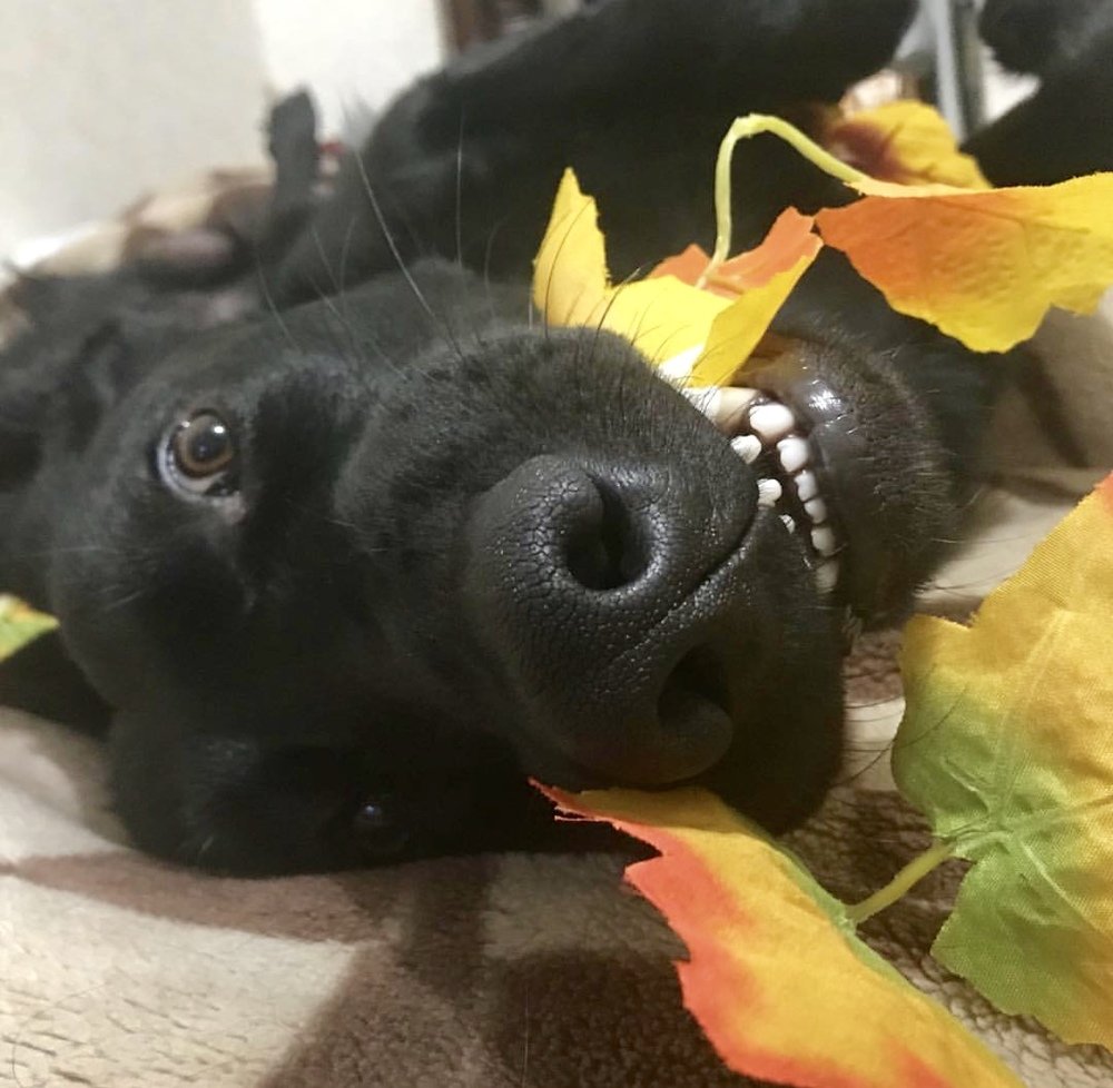 Photograph by Елена