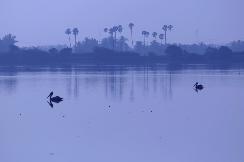 Photograph by PERUMAL VELLINGIRI