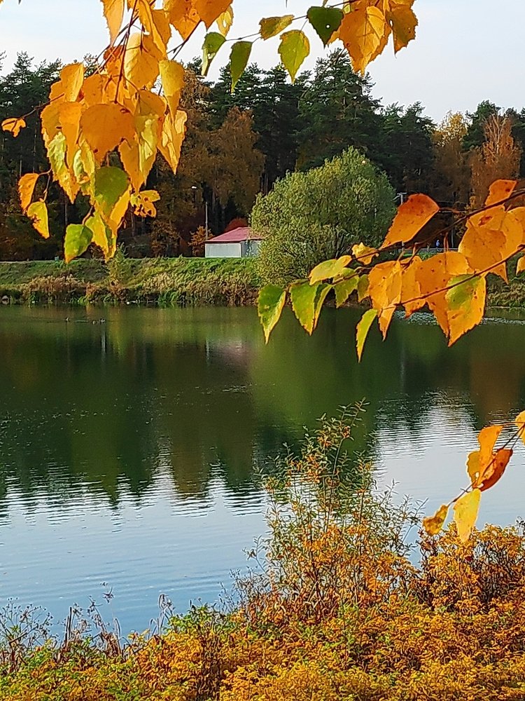 Photograph by Сергей Соломин