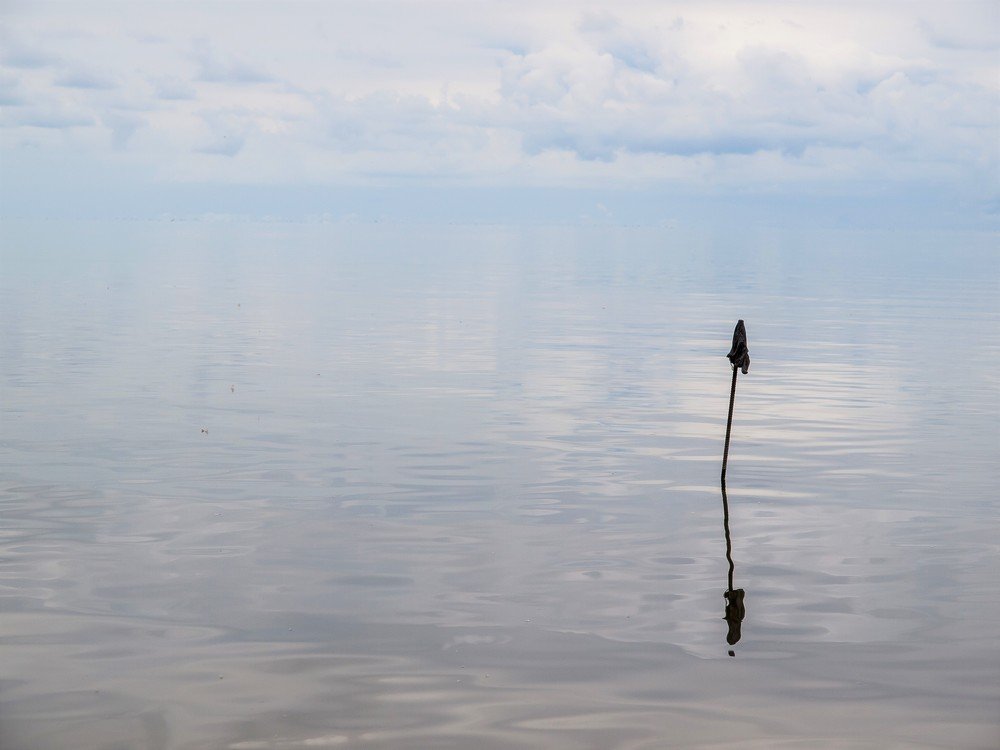 Photograph by Миленькая Наталья