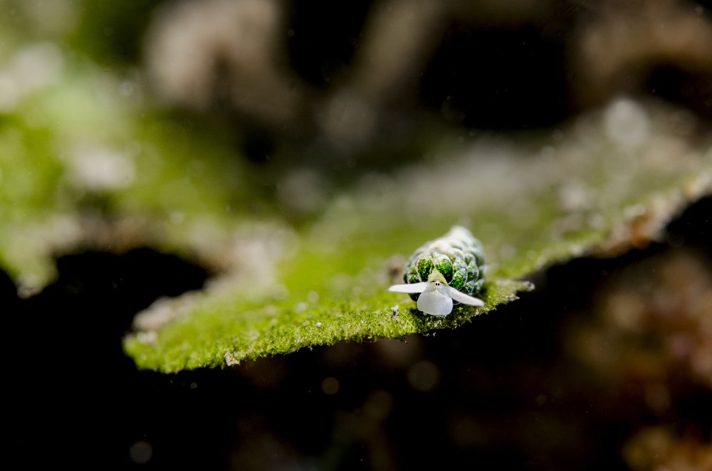 Photograph by EELIN Chan