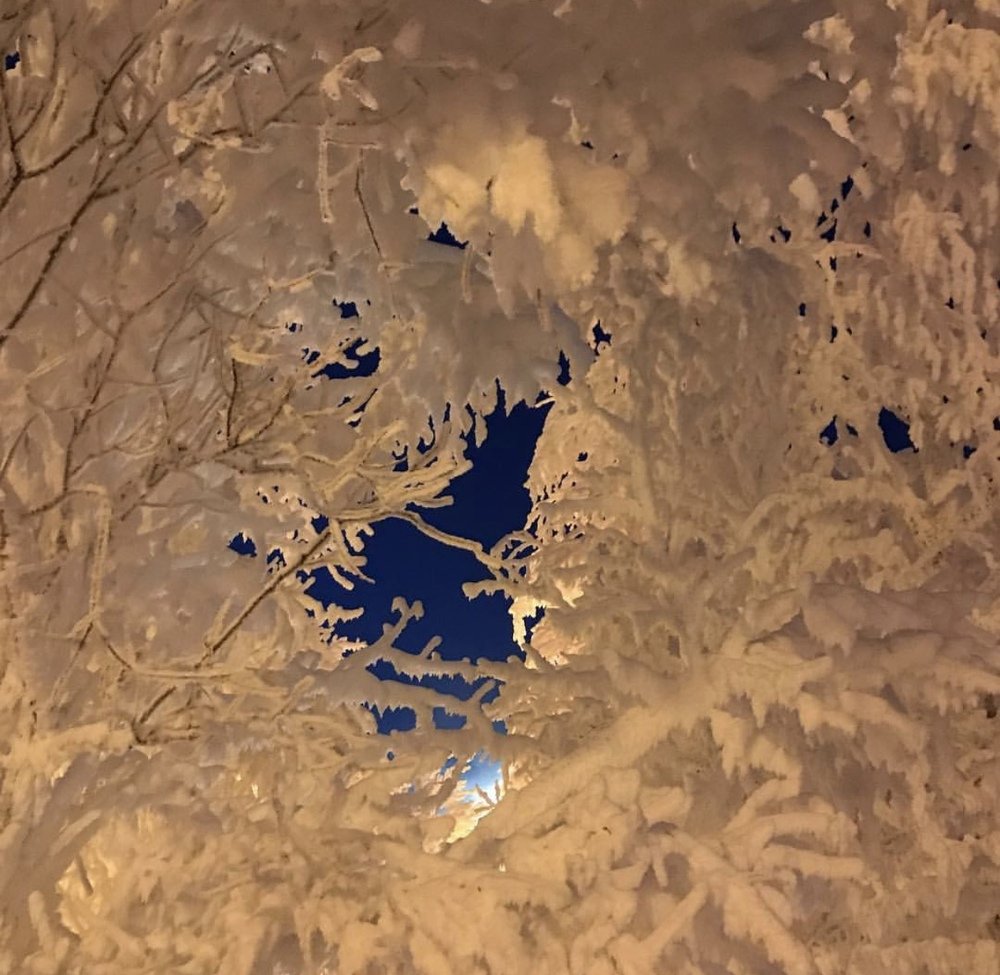 Photograph by Елена