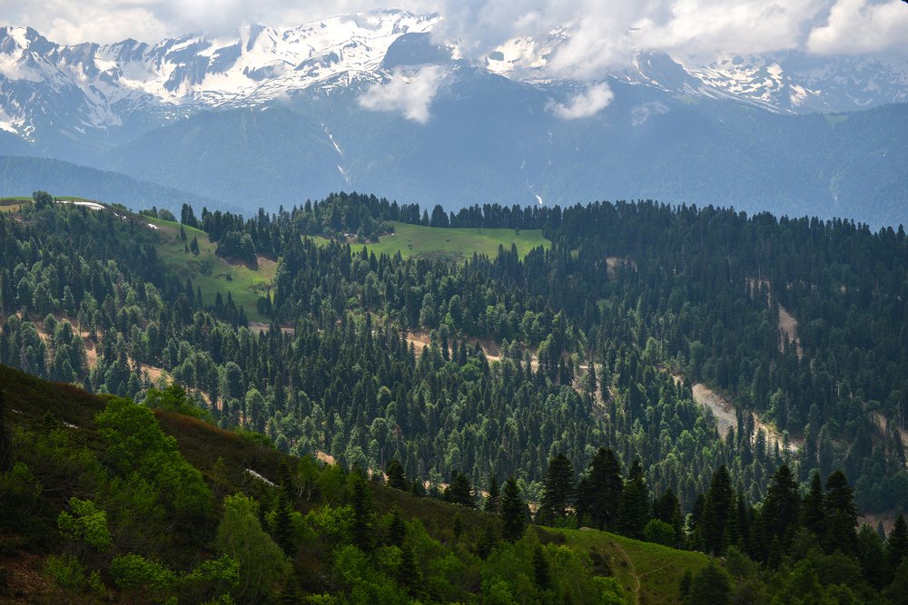 Photograph by Руденко Ирина