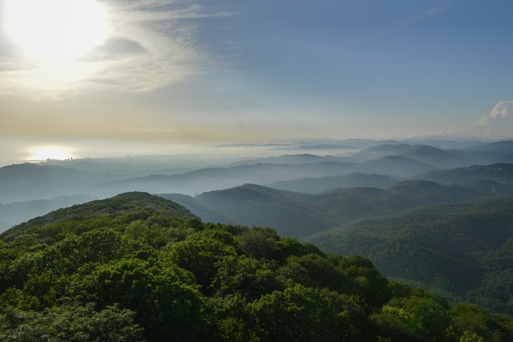 Photograph by Руденко Ирина