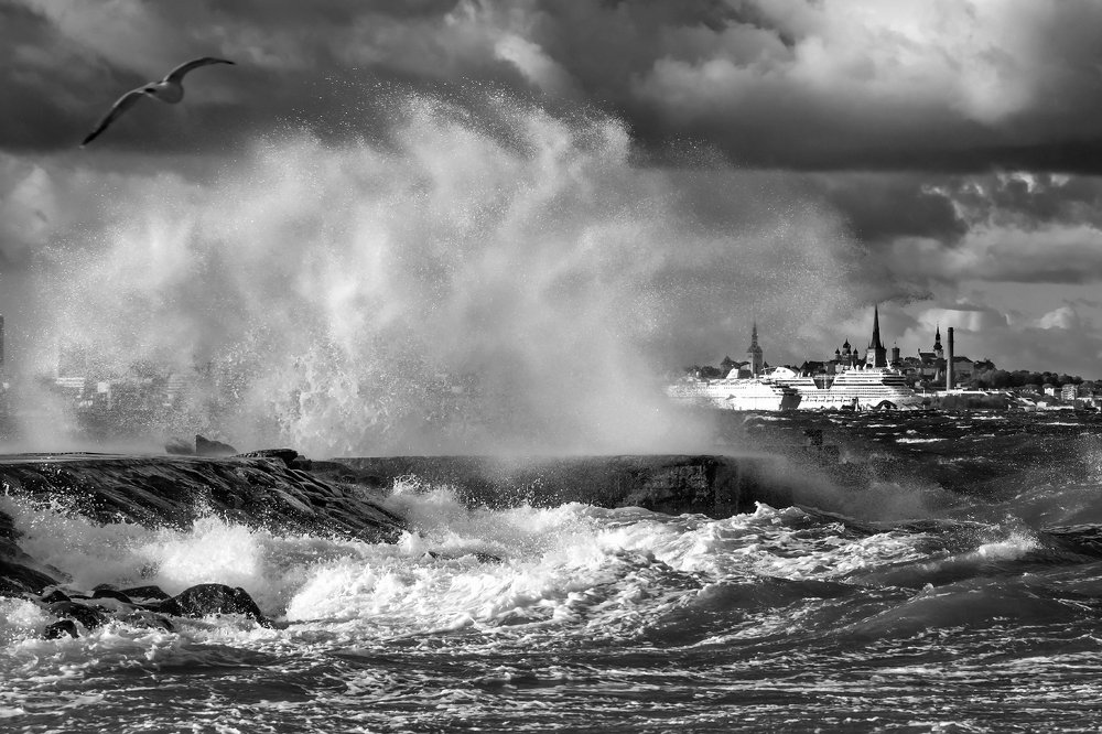 Photograph by Александр Абросимов