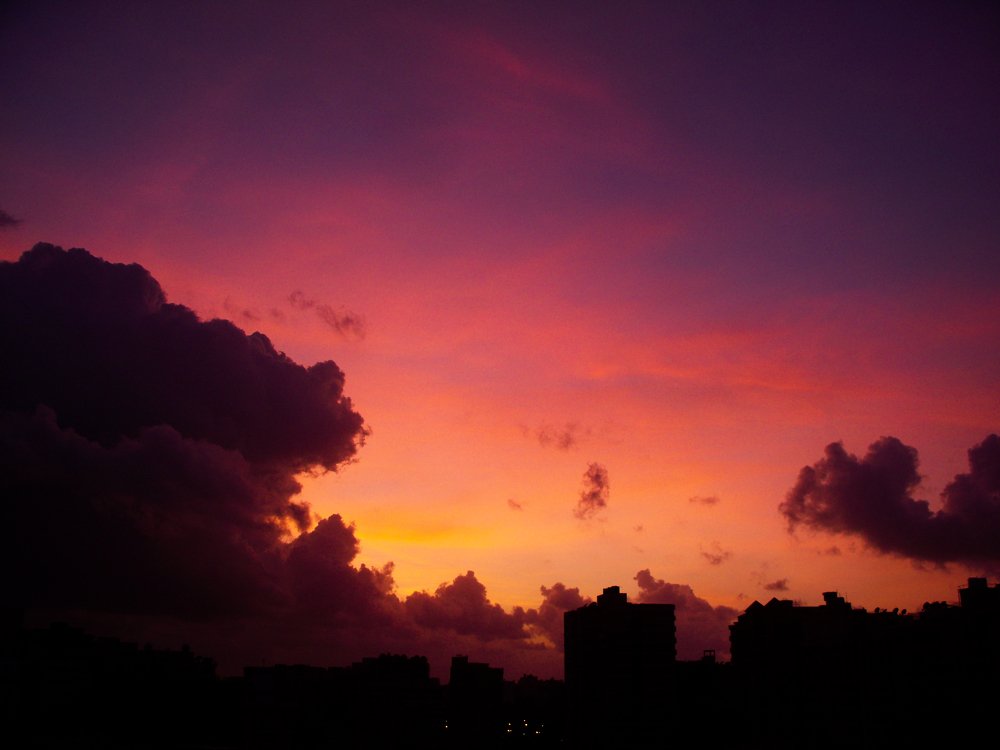 Photograph by Mohammad Harby