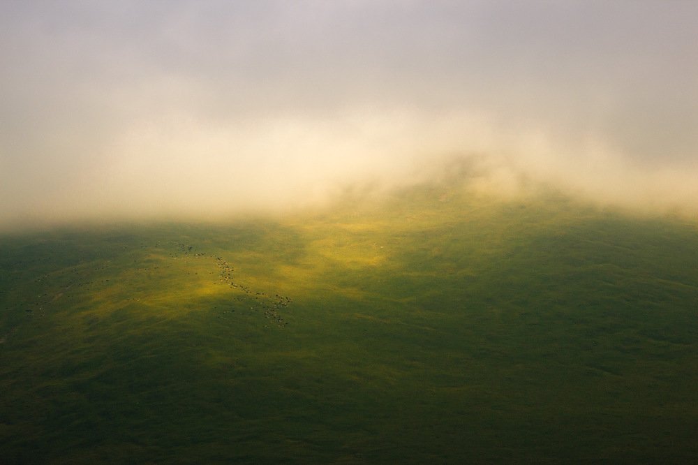 Photograph by Заур Бозиев