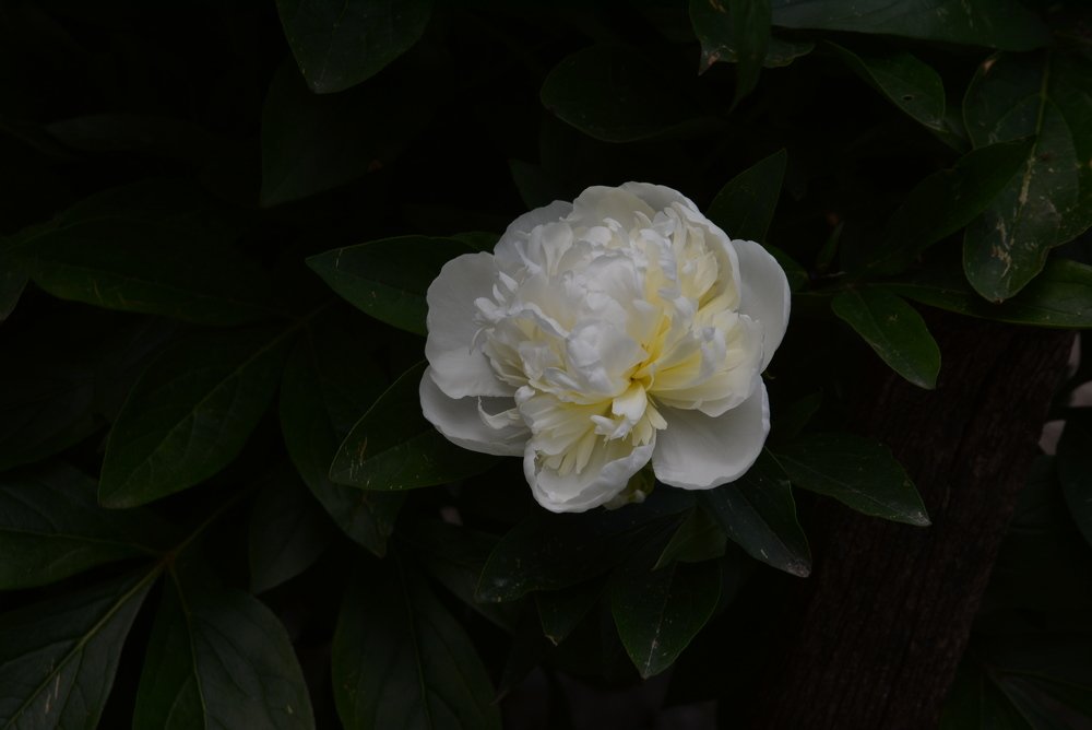 Photograph by Gülşen  Mutlu