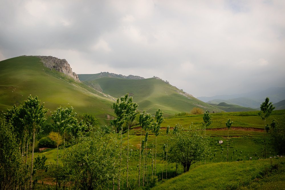 Photograph by Чунина Наталья