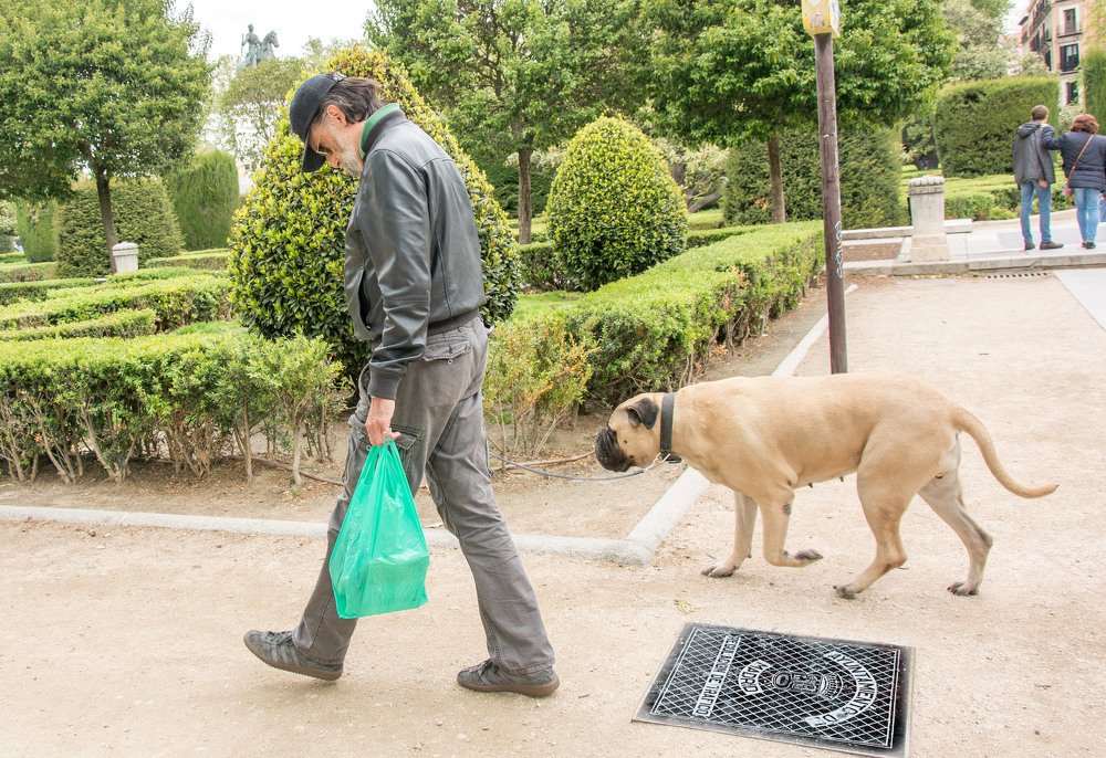 Собака-Друг Человека !