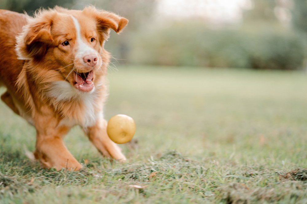 Photograph by Анна Войнова