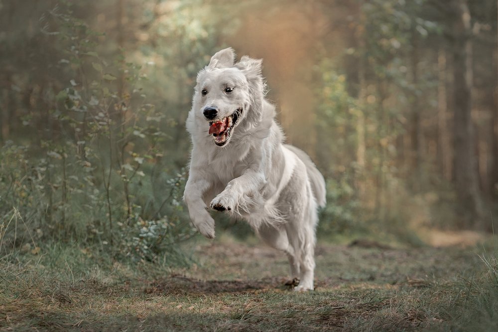 Photograph by Анна Войнова