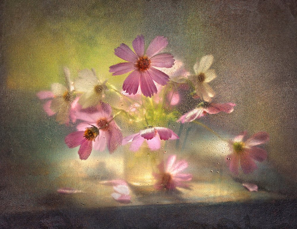 Воспоминания о лете