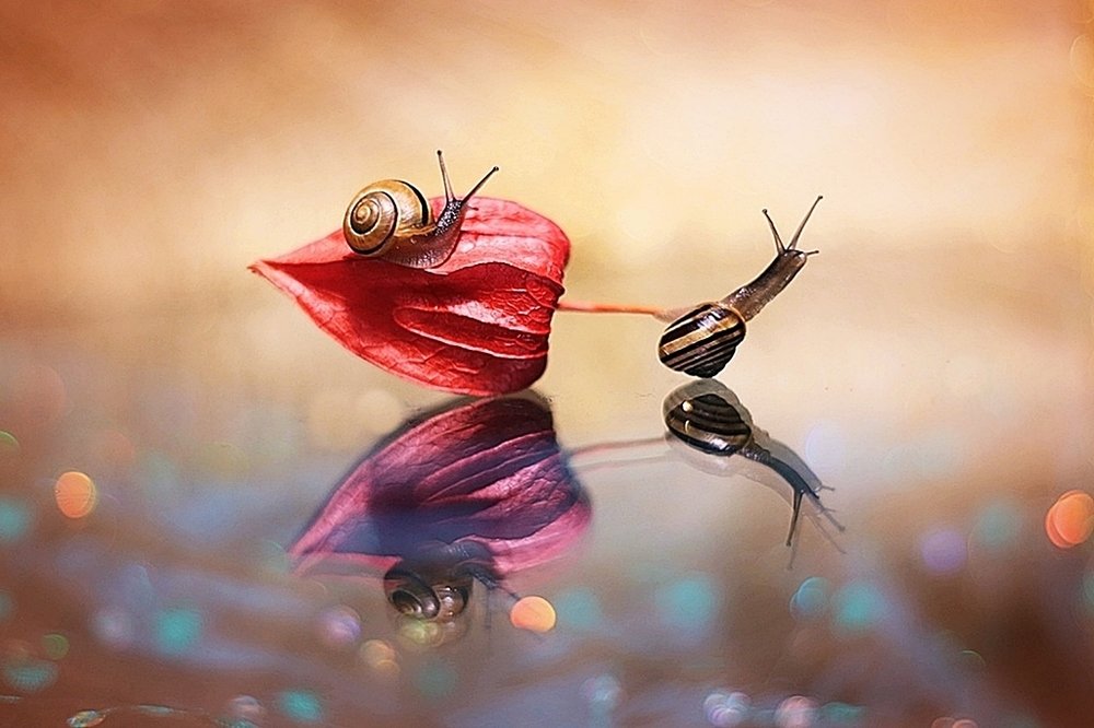 Photograph by Ela Drzazga