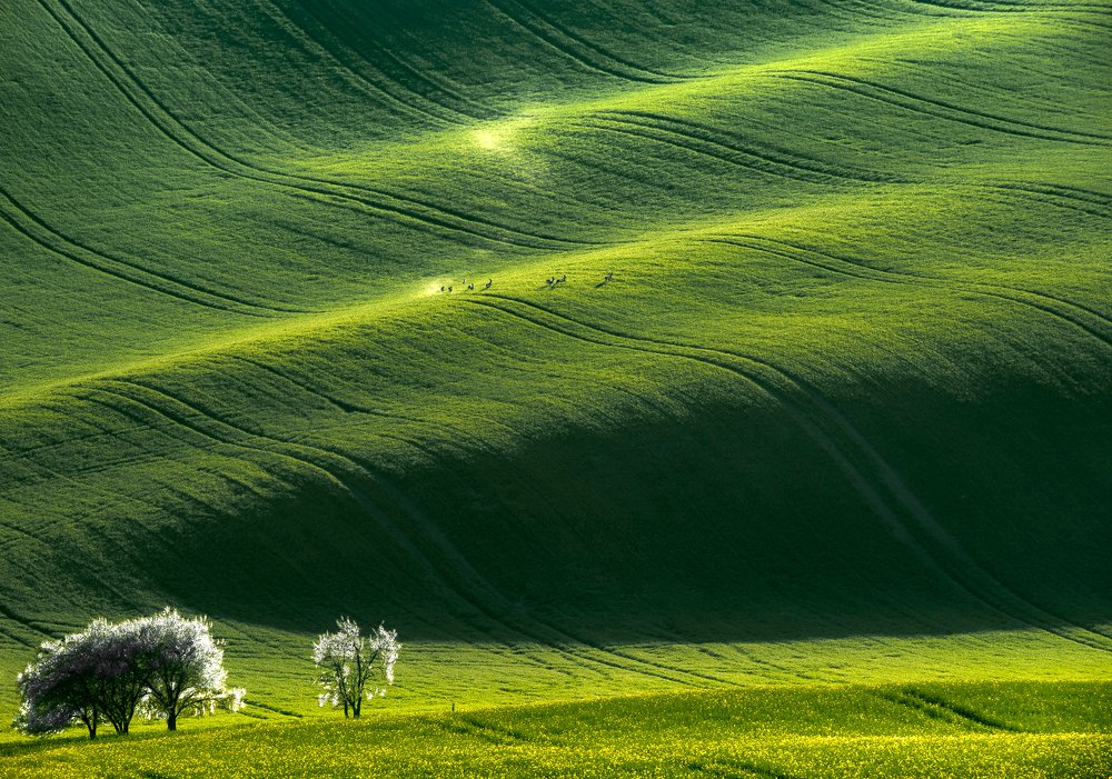 На крутом вираже.