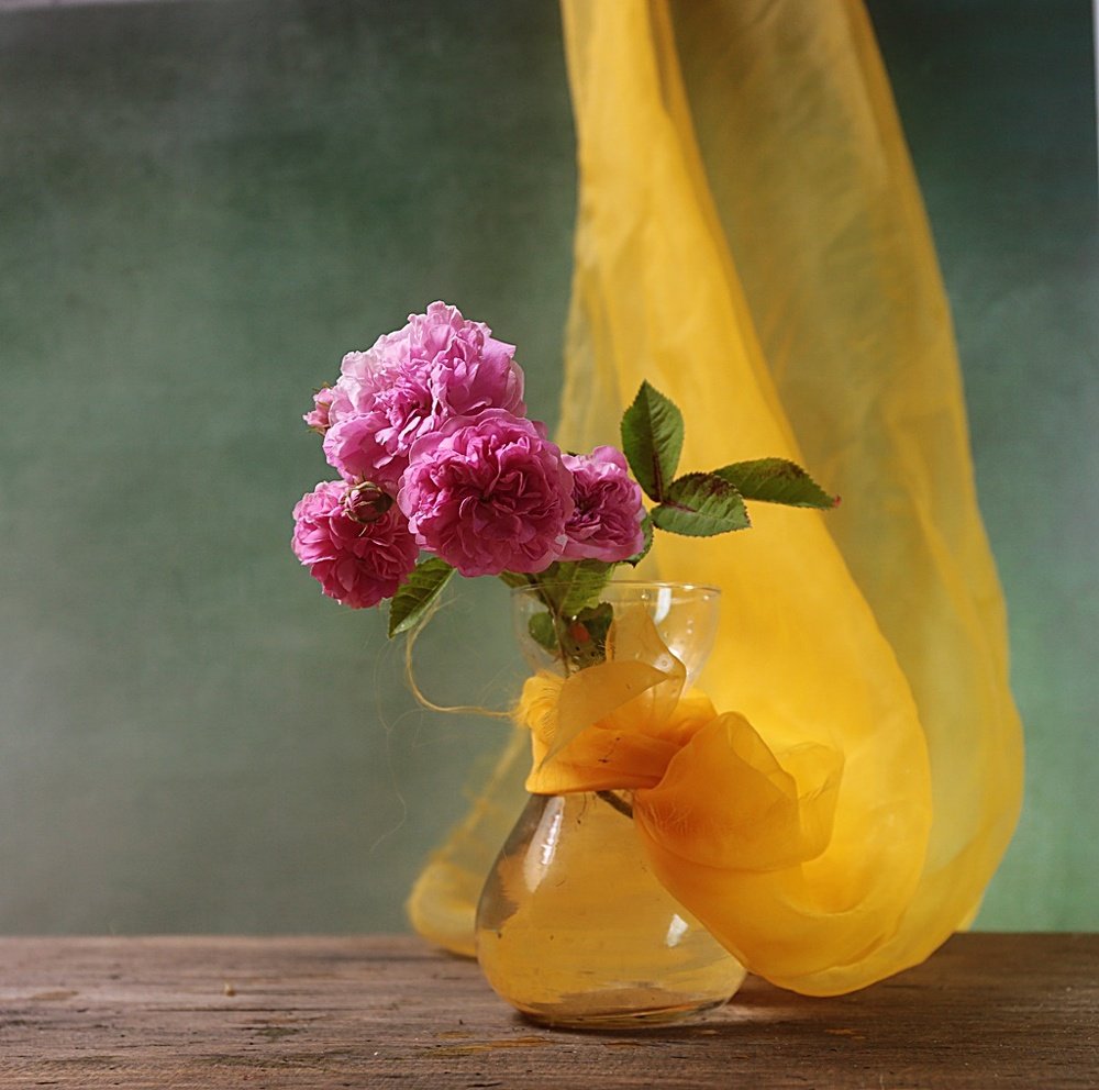 Photograph by Ela Drzazga