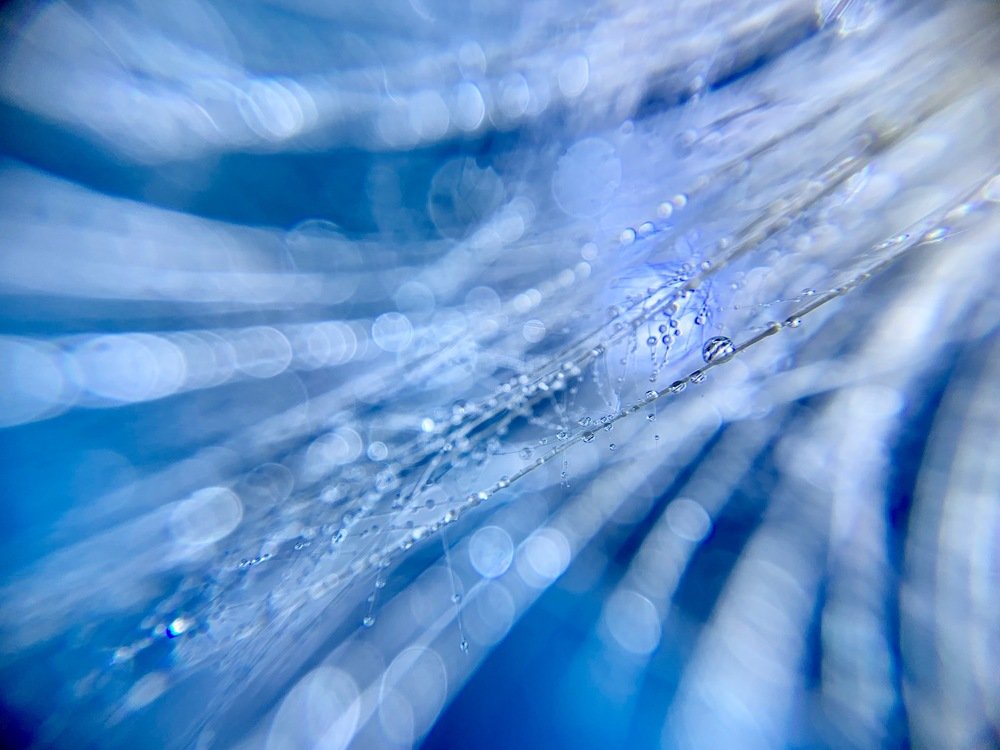 Photograph by Анна Войнова