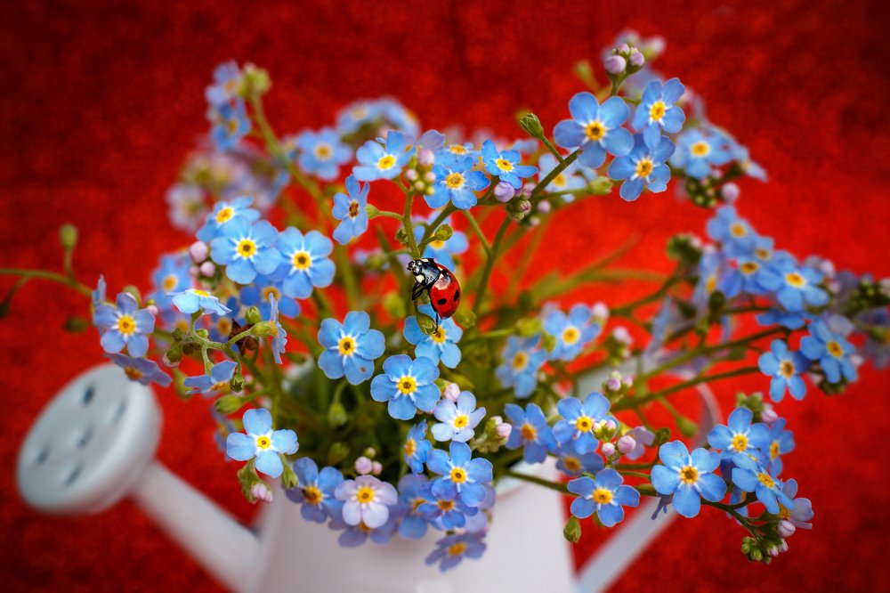 Photograph by Руслана Валеева