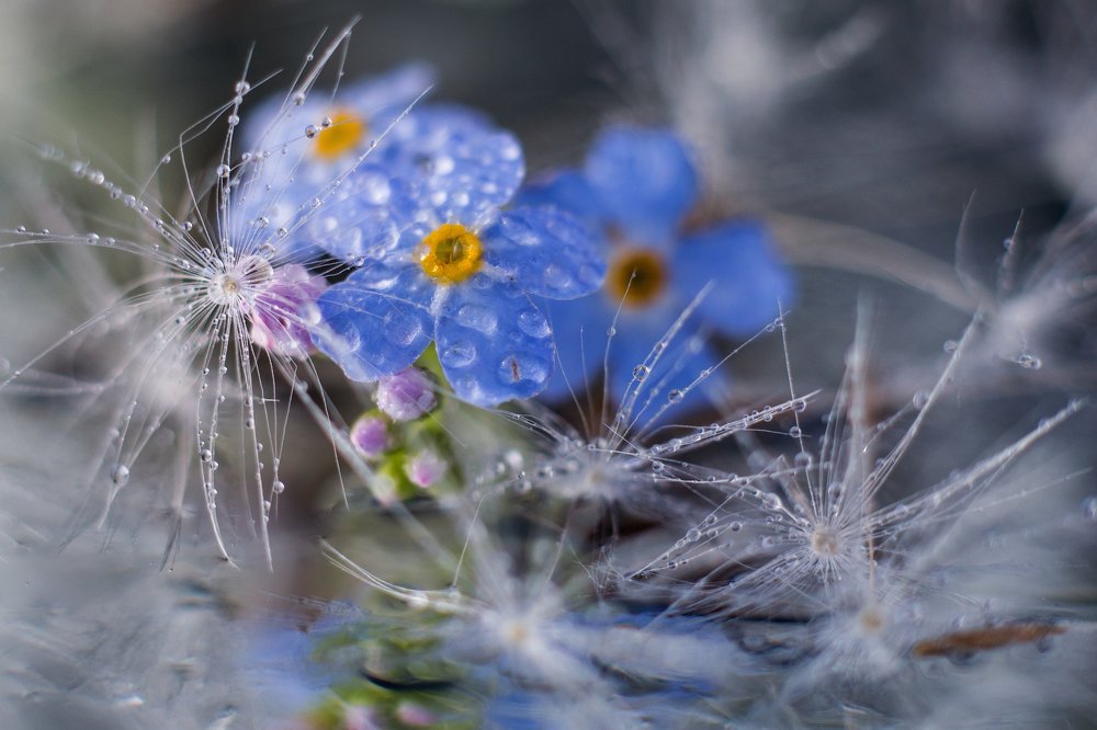 Photograph by Руслана Валеева